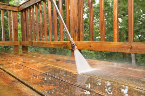 Best Solar Panel Cleaning  in Maine, WI